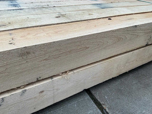 Europees eiken paal (10x) - afbeelding 5 van  9