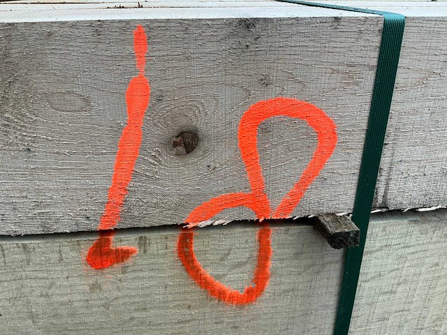 Europees eiken paal (10x) - afbeelding 9 van  9