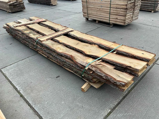 Europees eiken schaaldelen (22x) - afbeelding 6 van  11