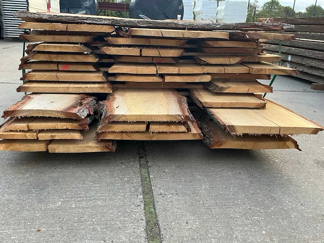 Europees eiken schaaldelen (37x) - afbeelding 4 van  8