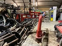 Everts oldenburger sleepslangbemester - afbeelding 10 van  13