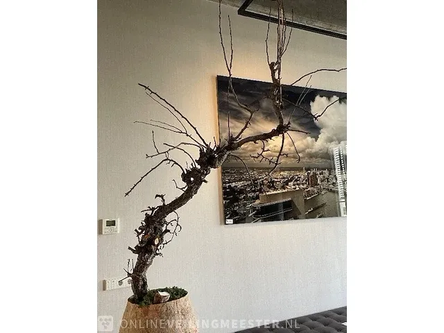 Exclusieve pot met decoratie - afbeelding 4 van  4