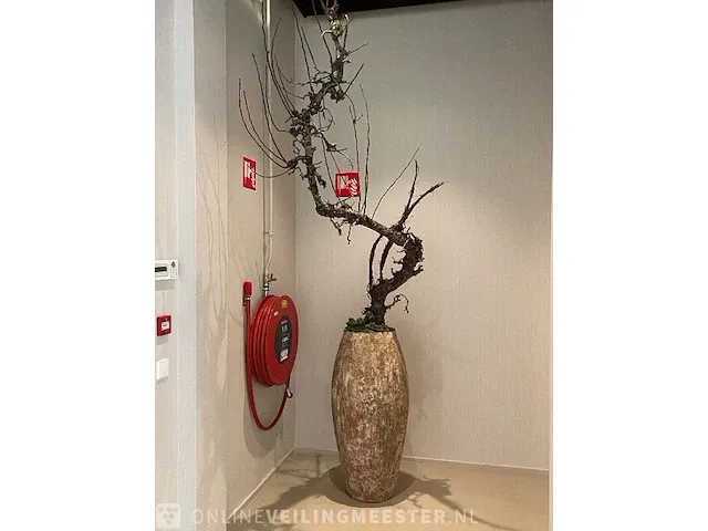 Exclusieve pot met decoratie - afbeelding 2 van  4