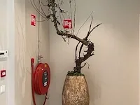 Exclusieve pot met decoratie - afbeelding 2 van  4