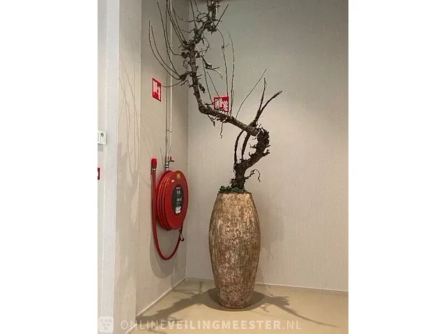 Exclusieve pot met decoratie - afbeelding 3 van  4