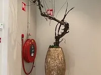 Exclusieve pot met decoratie - afbeelding 3 van  4