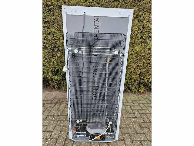Exquisit - glasdeurkoeling - afbeelding 10 van  10