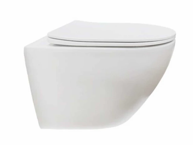 Fabriecio mechelen hangend toilet - afbeelding 3 van  6