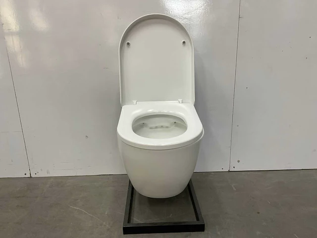 Fabriecio mechelen hangend toilet - afbeelding 5 van  6