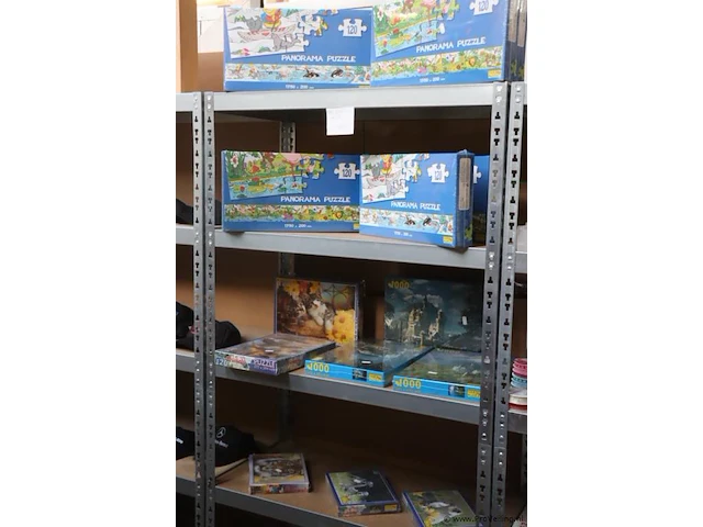 Fame puzzles panorama puzzels & frisbees - 25 stuks - afbeelding 1 van  9