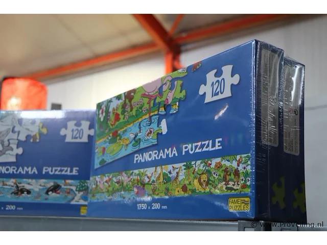 Fame puzzles panorama puzzels & frisbees - 25 stuks - afbeelding 2 van  9