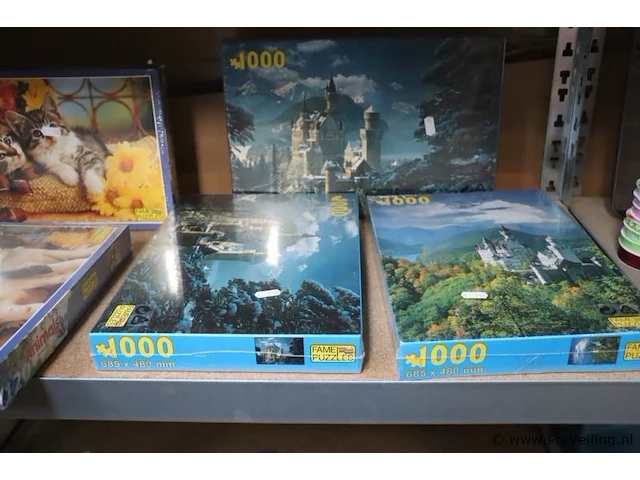 Fame puzzles panorama puzzels & frisbees - 25 stuks - afbeelding 6 van  9