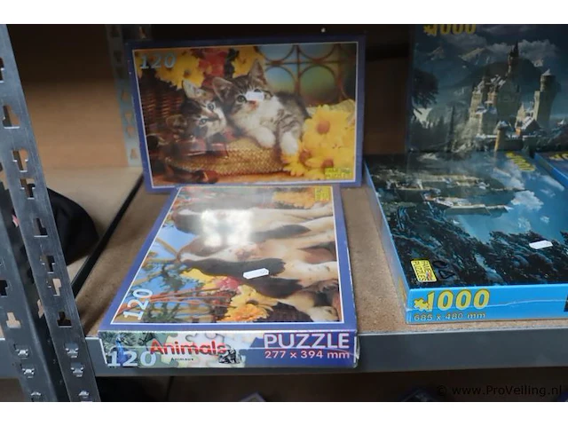 Fame puzzles panorama puzzels & frisbees - 25 stuks - afbeelding 7 van  9