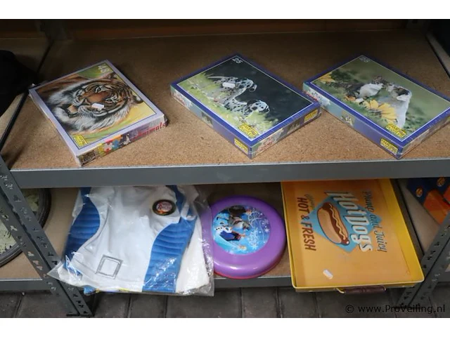 Fame puzzles panorama puzzels & frisbees - 25 stuks - afbeelding 8 van  9