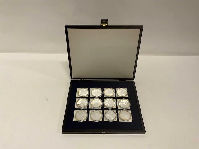 Fantasie munten 1 silver ounce (12x) - afbeelding 1 van  12