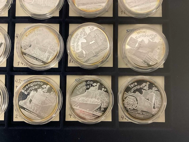 Fantasie munten 1 silver ounce (12x) - afbeelding 8 van  12