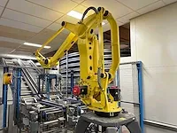 Fanuc - robot m-410 ib 160 - verpakkingsmachine - afbeelding 12 van  22