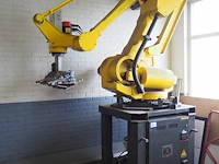Fanuc ltd - afbeelding 1 van  13