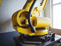 Fanuc ltd - afbeelding 9 van  13