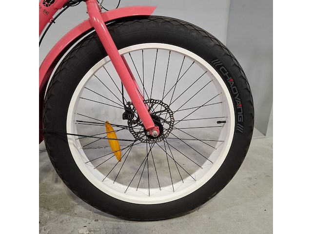 Fatbike, fitch - afbeelding 11 van  12