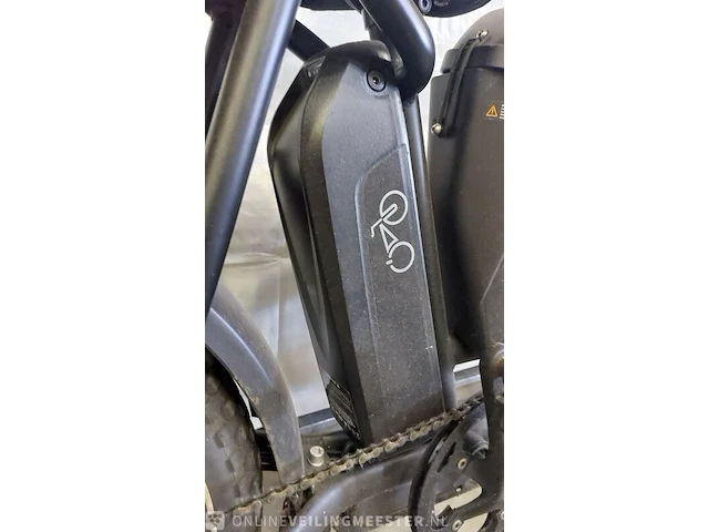 Fatbike rad power bikes, radrunner - afbeelding 2 van  18