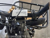 Fatbike rad power bikes, radrunner - afbeelding 9 van  18