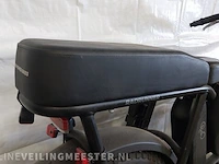 Fatbike rad power bikes, radrunner - afbeelding 15 van  18