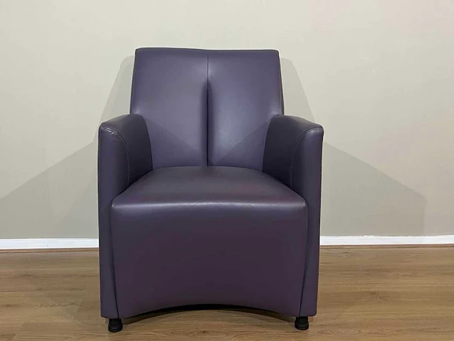 Fauteuil leolux galathea - afbeelding 1 van  6