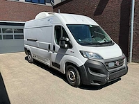 Fiat ducato 2.3 160 koel-vrieswagen - bedrijfswagen (schade) - afbeelding 10 van  16