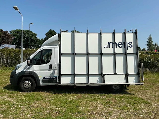 Fiat ducato bedrijfswagen/glasresteelwagen - afbeelding 12 van  35