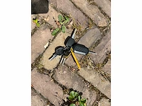 Fiat ducato font vendome leadercamp camper 140pk 2020 - afbeelding 41 van  46