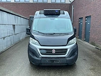 Fiat ducato koelwagen - bedrijfswagen (schade) - afbeelding 6 van  13