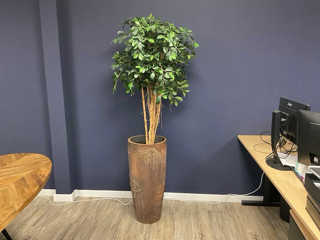Ficus kunstplant met pot - afbeelding 1 van  4