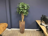 Ficus kunstplant met pot - afbeelding 1 van  4