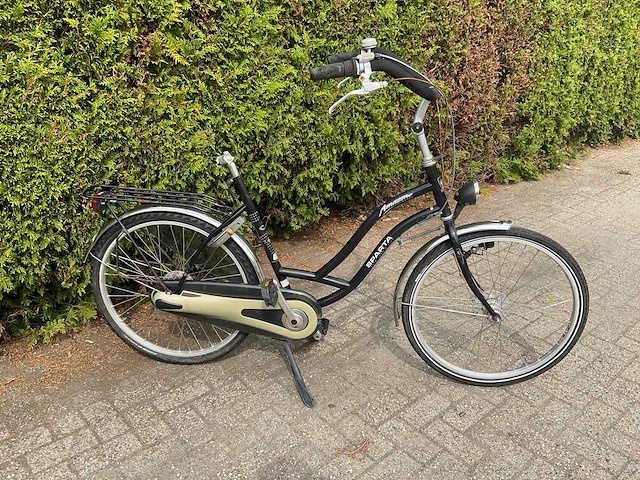 Fiets (3x) - afbeelding 5 van  18