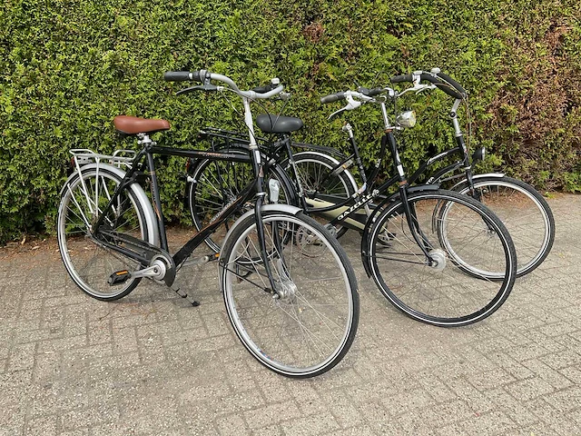 Fiets (3x) - afbeelding 1 van  18