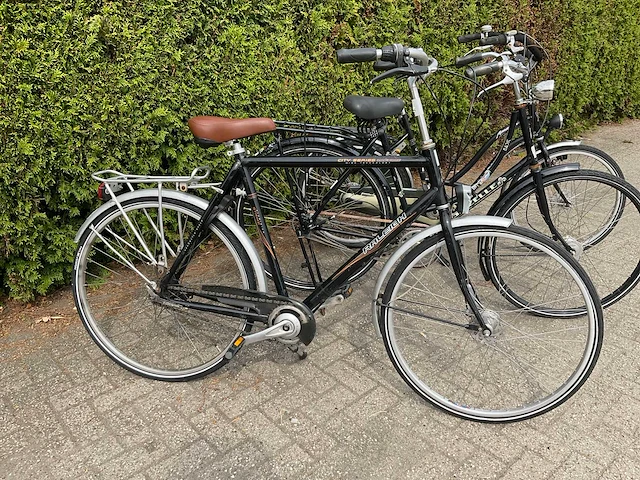 Fiets (3x) - afbeelding 11 van  18