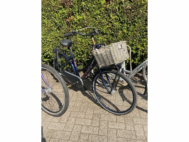 Fiets (8x) - afbeelding 3 van  13