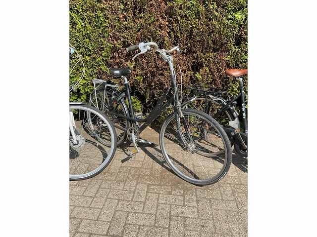 Fiets (8x) - afbeelding 13 van  13