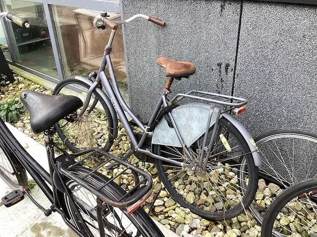 Fietsen (10x) - afbeelding 11 van  13