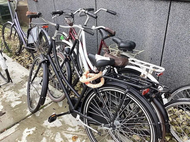 Fietsen (10x) - afbeelding 13 van  13