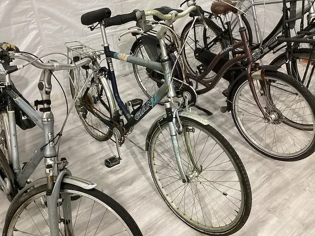 Fietsen (6x) - afbeelding 5 van  9