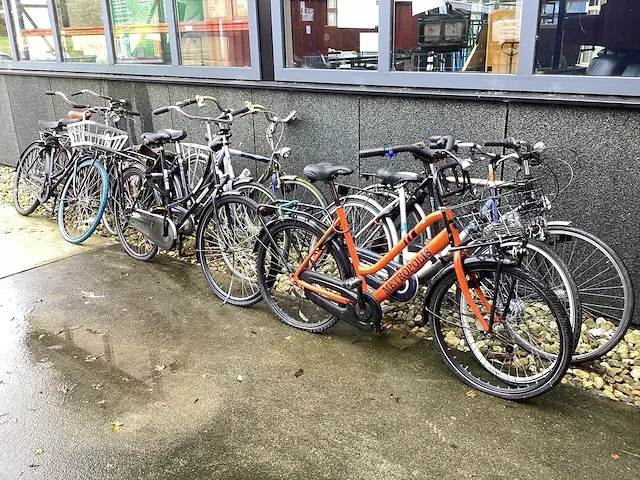 Fietsen (9x) - afbeelding 1 van  10