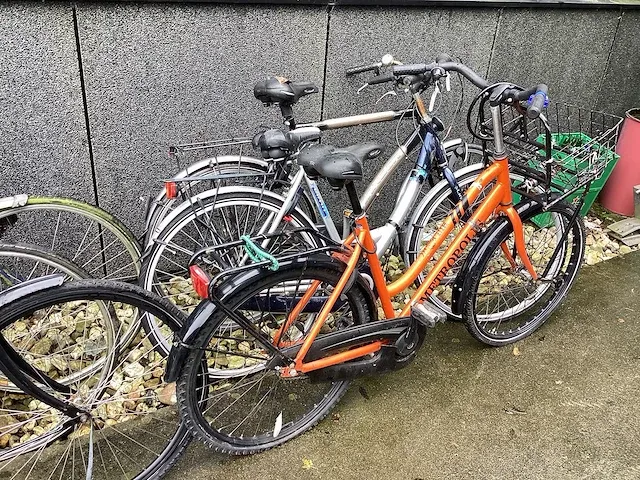 Fietsen (9x) - afbeelding 8 van  10