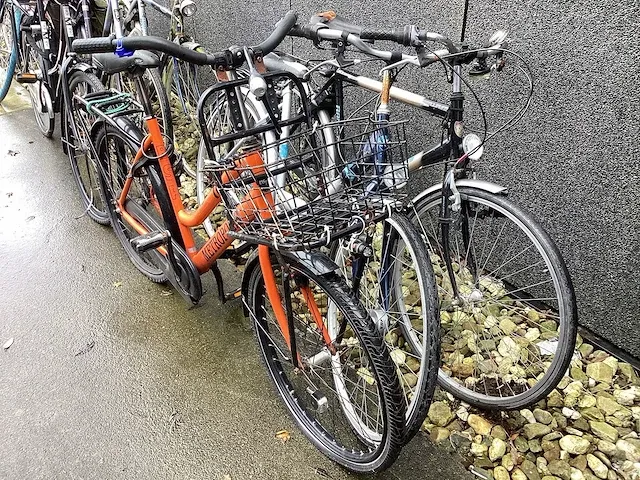Fietsen (9x) - afbeelding 9 van  10