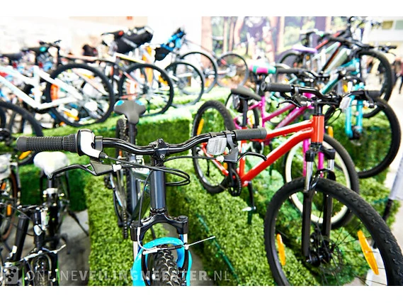Fietsen en scooterveiling