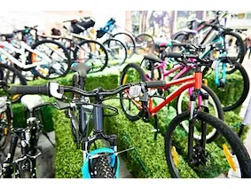 Fietsenveiling