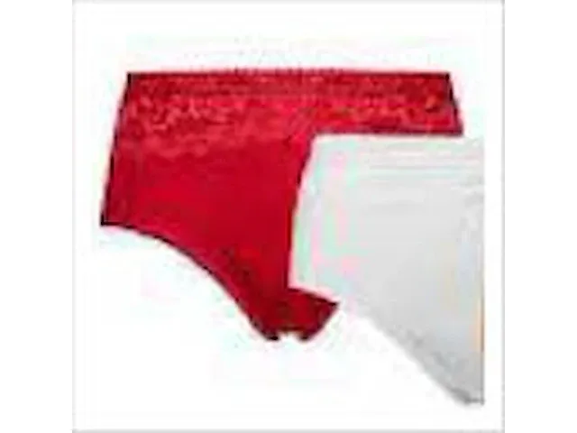 Fine woman damesslip microfiber maat l rood - afbeelding 1 van  3