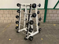 First class & lifemaxx 10-28kg curl halterset met rek - afbeelding 1 van  3