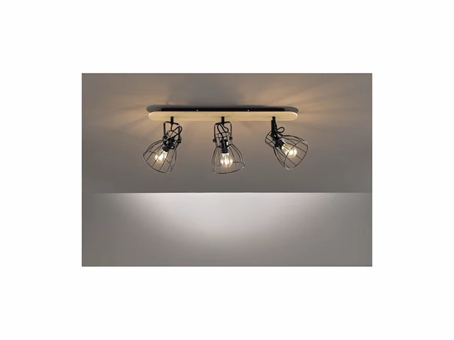 Fischer&honsel de plafondlamp metaal 40 w zwart - afbeelding 2 van  3